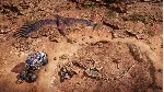 ✅ ❤ ️EXPEDITIONS: A MUDRUNNER GAME❤ ️XBOX ONE|XS🔑 КЛЮЧ✅ 