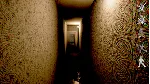 New Face On The Block АВТОДОСТАВКА STEAM GLOBAL МГНОВЕННО ЛИЦЕНЗИЯ