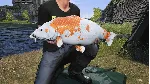 Euro Fishing: Ultimate Edition ИГРА (на русском) XBOX ONE, SERIES S|X КОД КЛЮЧ - irongamers.ru