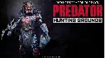 Predator: Hunting Grounds - Bionic Predator Pack DLC - irongamers.ru