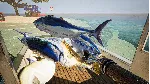 UMIGARI | ウミガリ - STEAM GIFT РОССИЯ