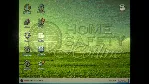 Home Safety Hotline Выбор Региона Стим STEAM GIFT АВТО 24/7 ГАРАНТИЯ