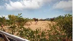 theHunter: Call of the Wild™ - Hunter Power Pack DLC - irongamers.ru