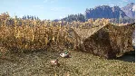 theHunter: Call of the Wild™ - Duck and Cover Pack DLC - irongamers.ru