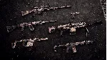 Insurgency: Sandstorm - Canyon Weapon Skin Set DLC АВТОДОСТАВКА STEAM РОССИЯ