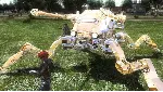 DLC EARTH DEFENSE FORCE 4.1 Depth Crawler Gold Coat - irongamers.ru