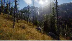 Way of the Hunter: Elite Edition Xbox Series X|S