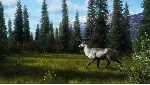 Way of the Hunter - Aurora Shores XBOX SERIES X|S Код🔑 