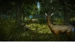 Ведьмак 2 XBOX The Witcher 2 XBOX На Любой Регион