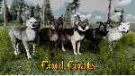 WolfQuest: Anniversary - Yellowstone Wolf Coat Pack - irongamers.ru