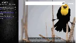 ☑ ️⭐Torrent RT Microsoft Store Покупка на Ваш акк⭐☑ ️.