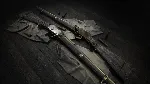☑ ️⭐Hunt: Showdown 1896 - Сын пороха XBOX⭐☑ ️