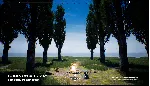 PLAYNE : The Meditation Game (Steam ключ / РФ+Весь Мир) - irongamers.ru