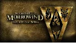 TES3 III: MORROWIND GOTY ключ Global + RU/CIS РФ Россия