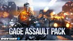 PAYDAY 2: Gage Assault Pack DLC * STEAM🔥 АВТОДОСТАВКА