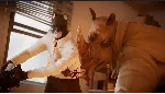 Blacksad: Under the Skin XBOX / ПК Ключ🔑 +RUS