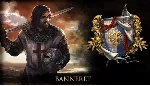 DLC Reign of Guilds - Banneret МИР АВТО - irongamers.ru