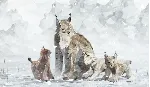 SHELTER 2  Steam key Ru Cis