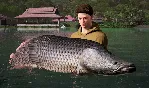 Fishing Sim World: Pro Tour Collector's Ed Xbox активац