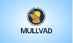 MULLVAD МУЛЛВАД Аккаунт 1 месяц - irongamers.ru