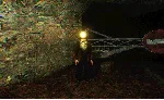 At Night: Haunted Ride АВТОДОСТАВКА STEAM РОССИЯ - irongamers.ru
