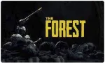🍓 Forest (PS4/PS5/EN) П3 - Активация