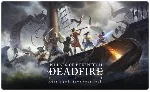 🍓 Pillars of Eternity 2 (PS4/PS5/RU) Аренда от 7 дней