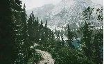 ✅ ❤ ️LUSHFOIL PHOTOGRAPHY SIM❤ ️XBOX SERIES X|S🔑 КЛЮЧ✅ 
