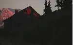 ✅ ❤ ️LUSHFOIL PHOTOGRAPHY SIM❤ ️XBOX SERIES X|S🔑 КЛЮЧ✅ 