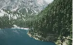 ✅ ❤ ️LUSHFOIL PHOTOGRAPHY SIM❤ ️XBOX SERIES X|S🔑 КЛЮЧ✅ 