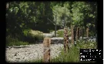 ✅ ❤ ️LUSHFOIL PHOTOGRAPHY SIM❤ ️XBOX SERIES X|S🔑 КЛЮЧ✅ 