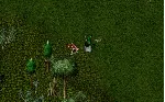 Ultima online - Олмер онлайн "Treasure hunter pack"