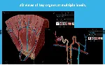 Human Anatomy Atlas 2025 Complete 3D⭐Microsoft Store