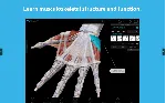 Human Anatomy Atlas 2025 Complete 3D⭐Microsoft Store
