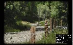 🎮 ✅ 🔥 LUSHFOIL PHOTOGRAPHY SIM XBOX SERIES X|S🔑 КЛЮЧ USA🔥 