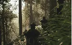 ✅ Lushfoil Photography Sim Xbox Series X|S активация