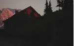 ✅ Lushfoil Photography Sim Xbox Series X|S активация