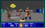 Wolfenstein 3D - Steam Gift