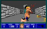Wolfenstein 3D - Steam Gift