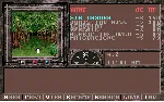 Dungeons & Dragons: Krynn Series STEAM GIFT РОССИЯ - irongamers.ru
