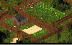 Project Zomboid ОНЛАЙН (БЕЗ АКТИВАТОРА /STEAM)