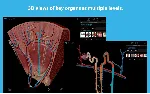 Human Anatomy Atlas 2026: Complete 3D Human Body ✅ Microsoft Store