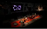LIGHT: Черная кошка и девушка-амнезия (Steam Gift RU) - irongamers.ru
