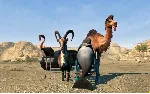 Goat Simulator: PAYDAY DLC⚡ АВТОДОСТАВКА Steam Россия