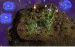 Perimeter 2: New Earth АВТОДОСТАВКА STEAM GLOBAL МГНОВЕННО ЛИЦЕНЗИЯ