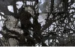 Call of Duty 4: Modern Warfare(2007)(Steam Region Free) - irongamers.ru