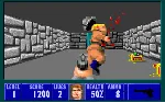 ❗ Wolfenstein 3D❗ (PC WIN)🔑 КЛЮЧ❗ 
