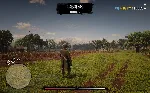 RDO • ДОЛЛАРЫ $ RED DEAD ONLINE RDR REDEMPTION 2