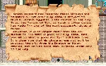 Dungeons & Dragons: Dark Sun Series * STEAM RU - irongamers.ru