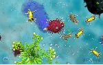 SPORE (Steam Gift Россия UA KZ) - irongamers.ru
